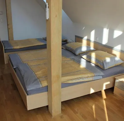 Guest house Guest Klancar 3*